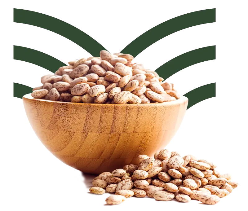 VM Natural - Produtos - Ingredientes a granel e fracionados